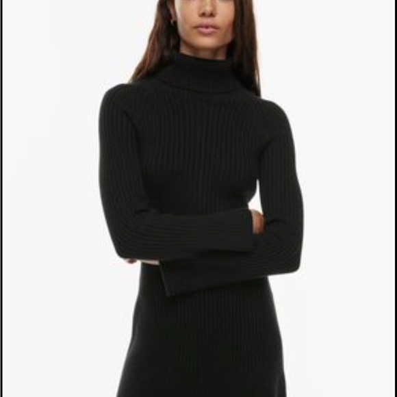 Aritzia Rhapsody Dress - Picture 2 of 4